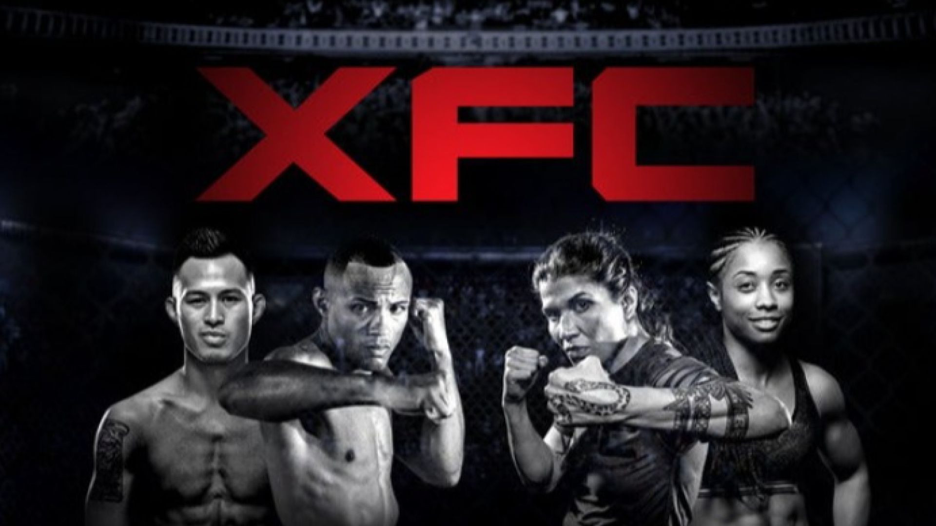 ⁣XFC TV