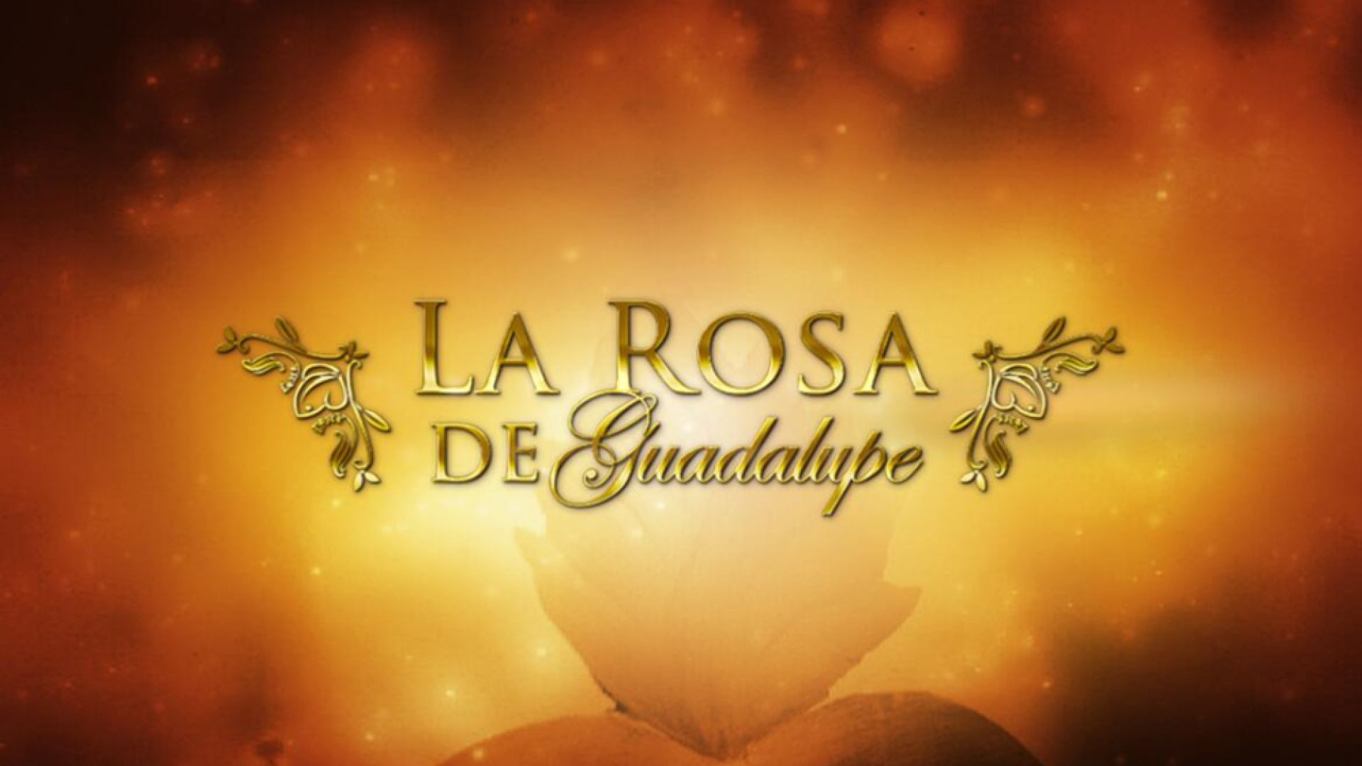 La Rosa de Guadalupe