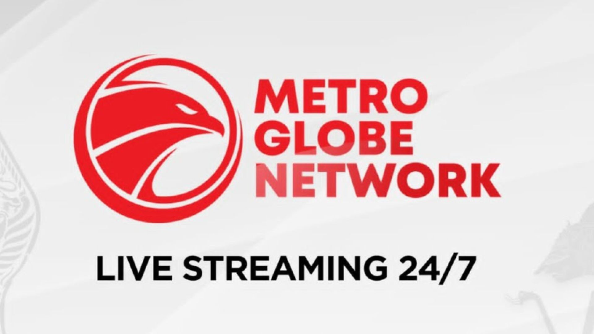 ⁣⁣Metro Globe Network