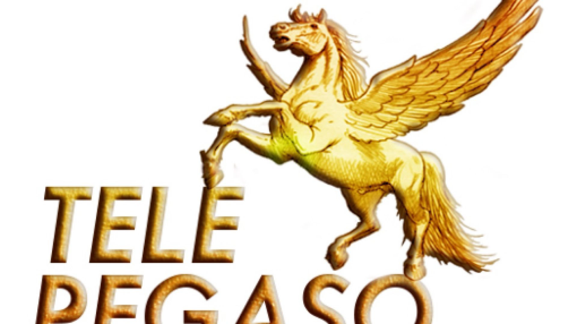 ⁣⁣Tele Pegaso Catania