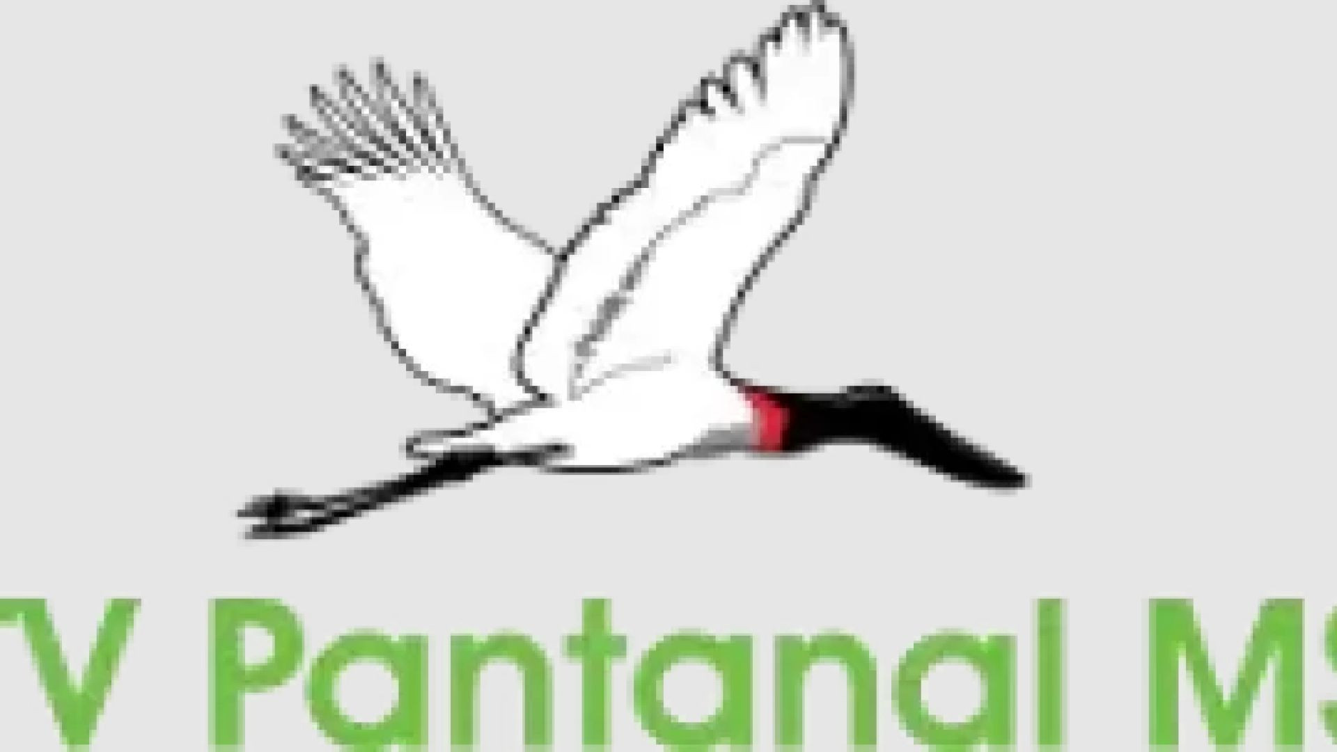 ⁣TV Pantanal MS  Brasil