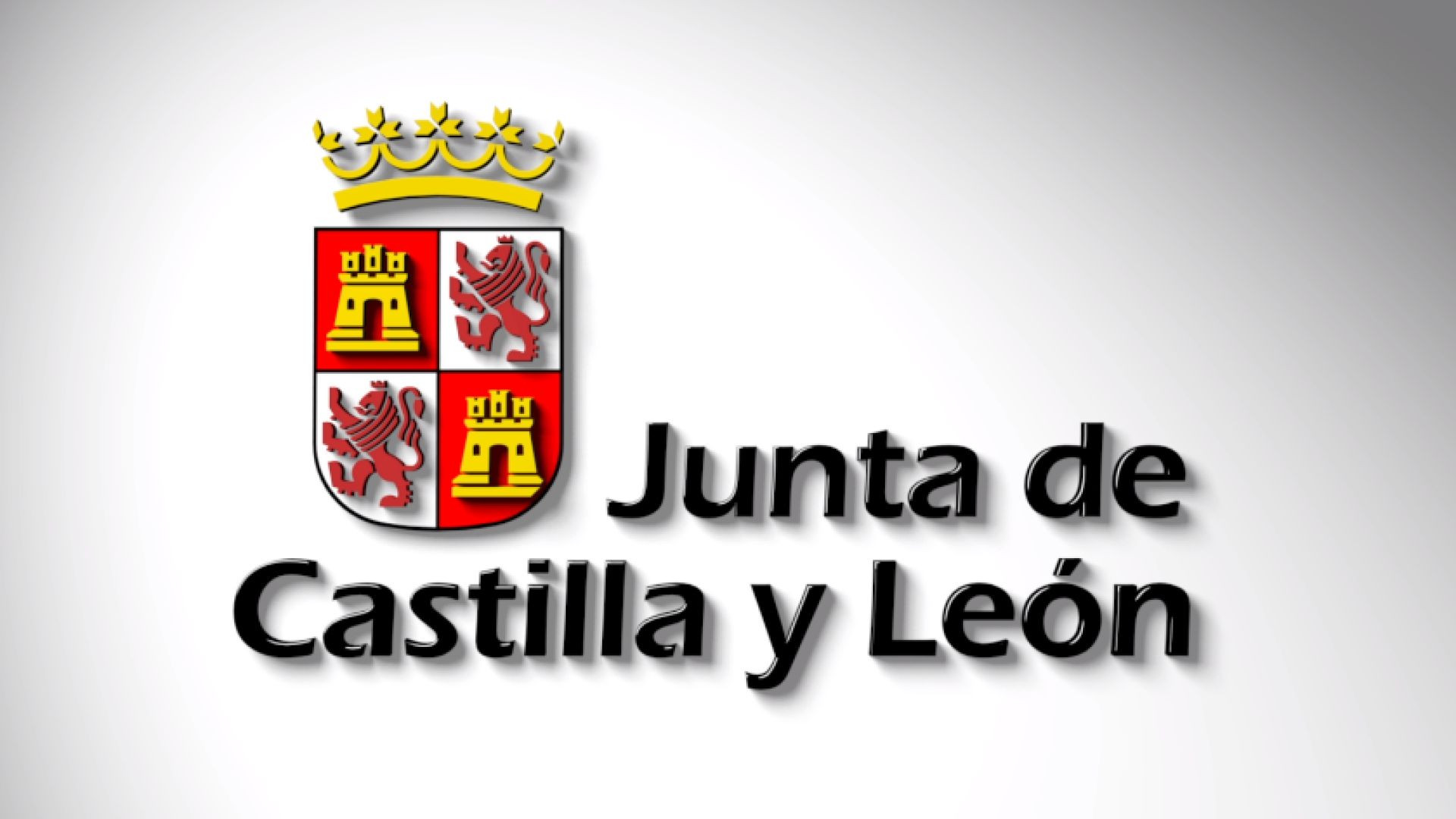 ⁣La Junta de Castilla y León Spain