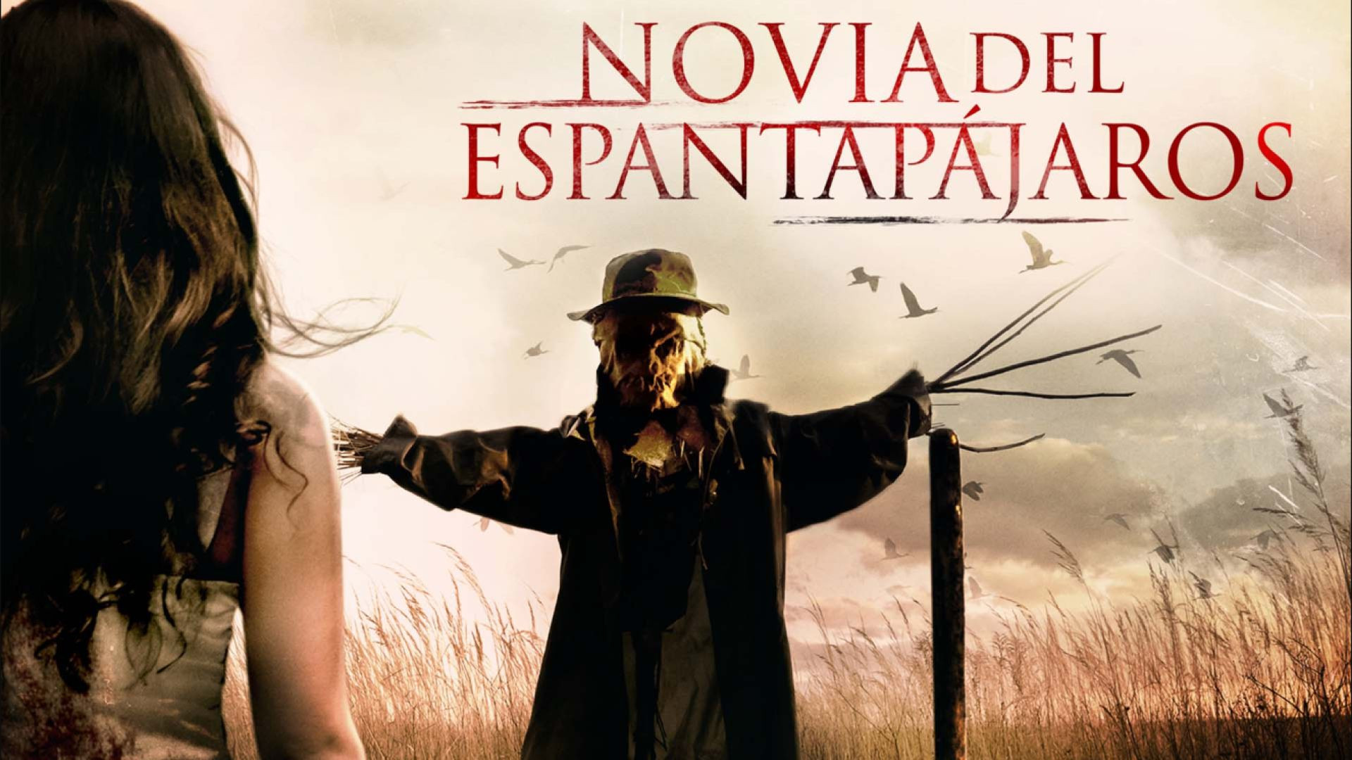 ⁣Novia del Espantapájaros