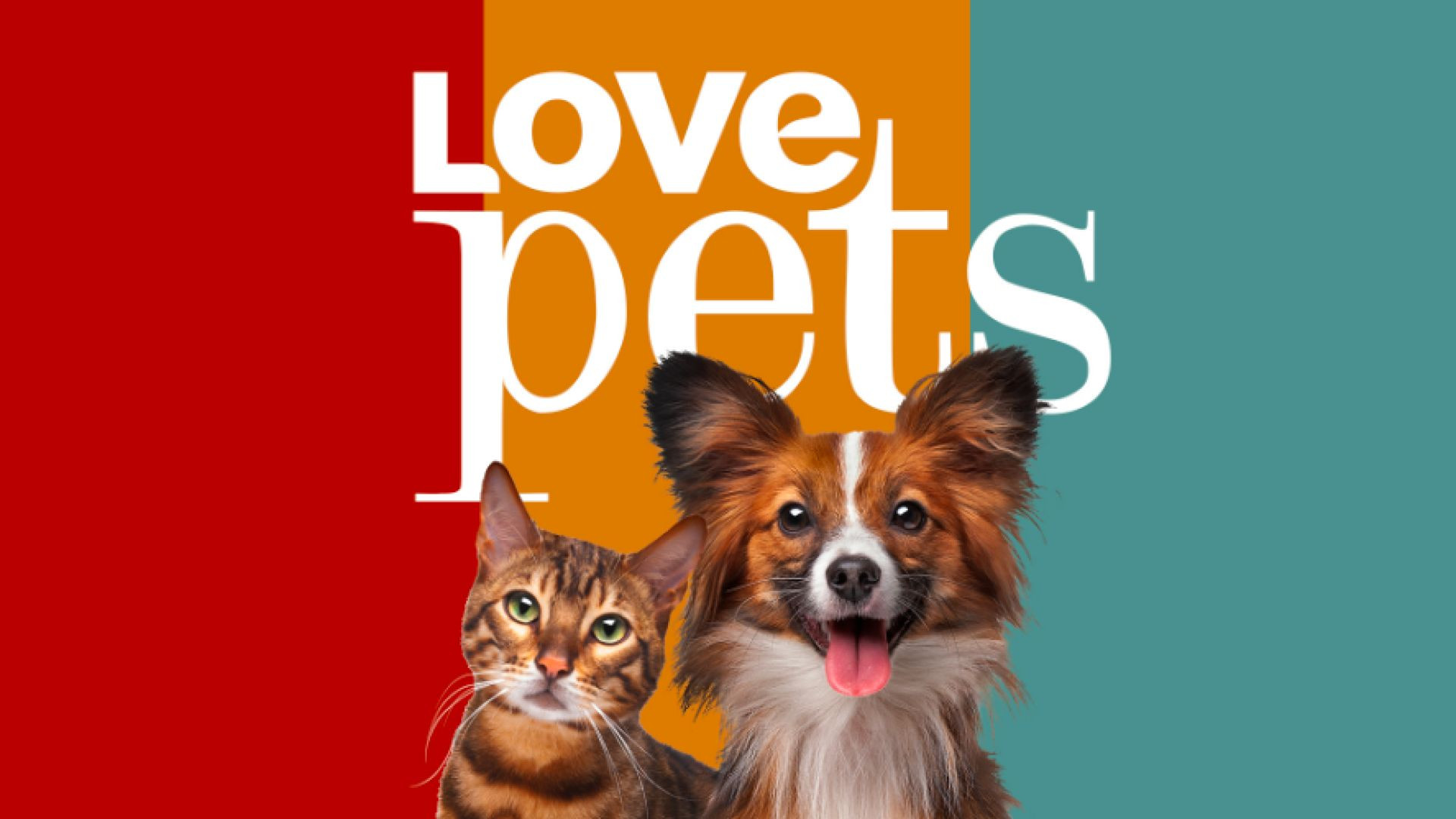 ⁣Love Pets