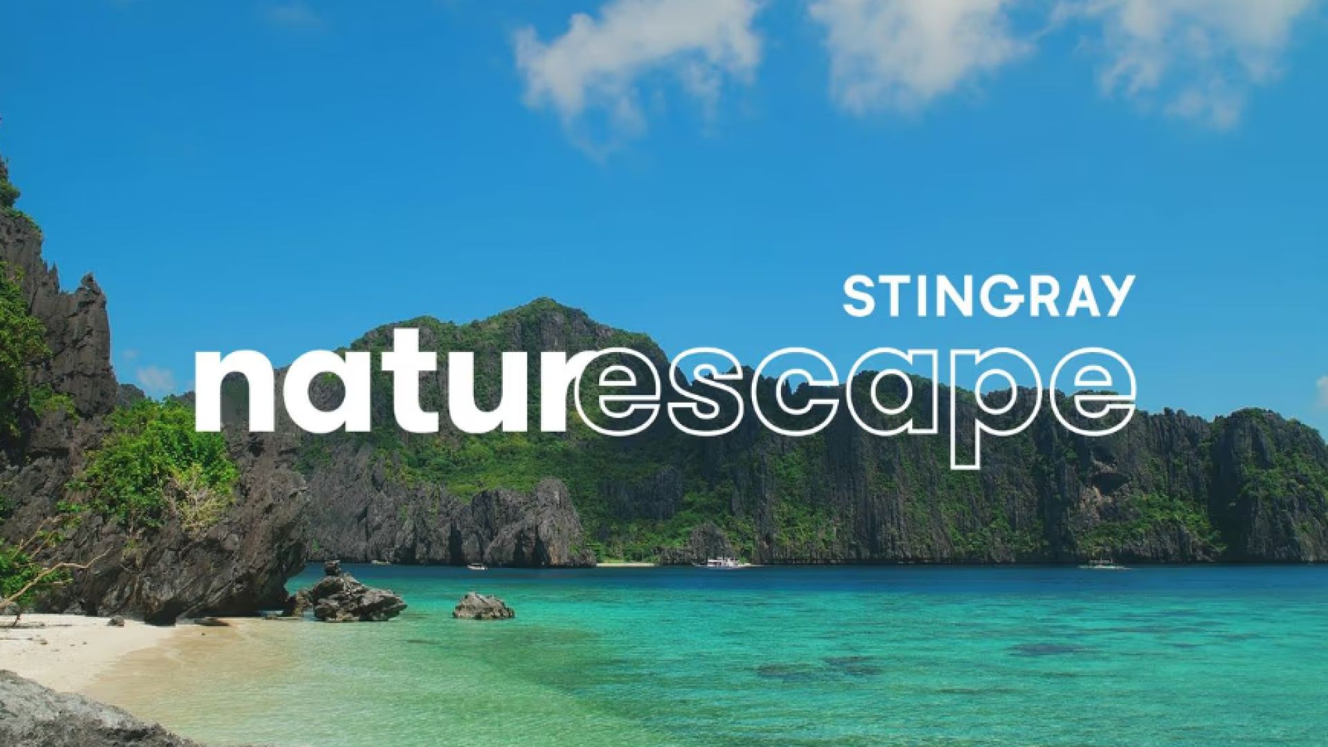 ⁣NATURESCAPE  BY STINGRAY  EEUU