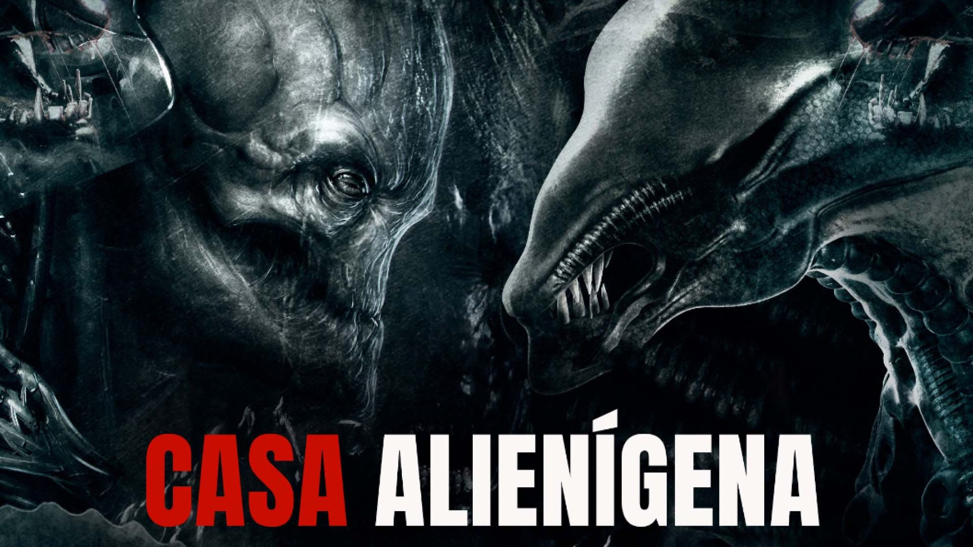 ⁣Casa Alienígena