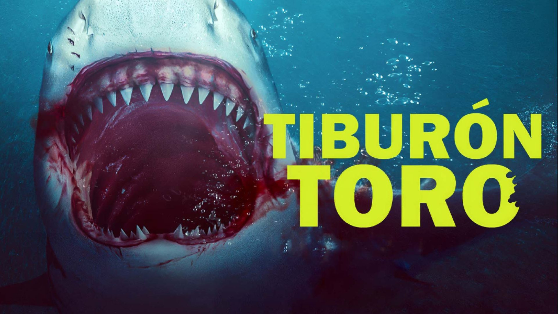 ⁣Tiburón Toro