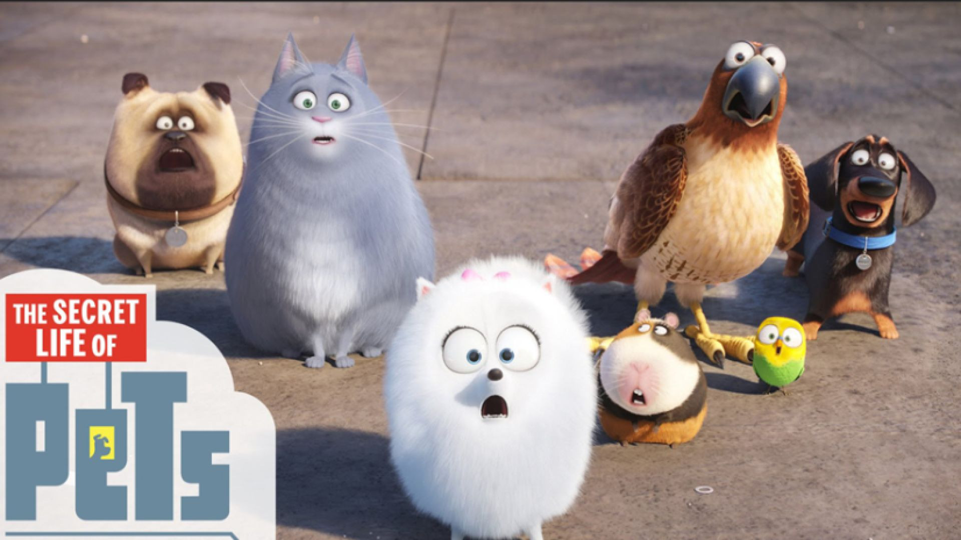 ⁣The Secret Life of Pets -TEST