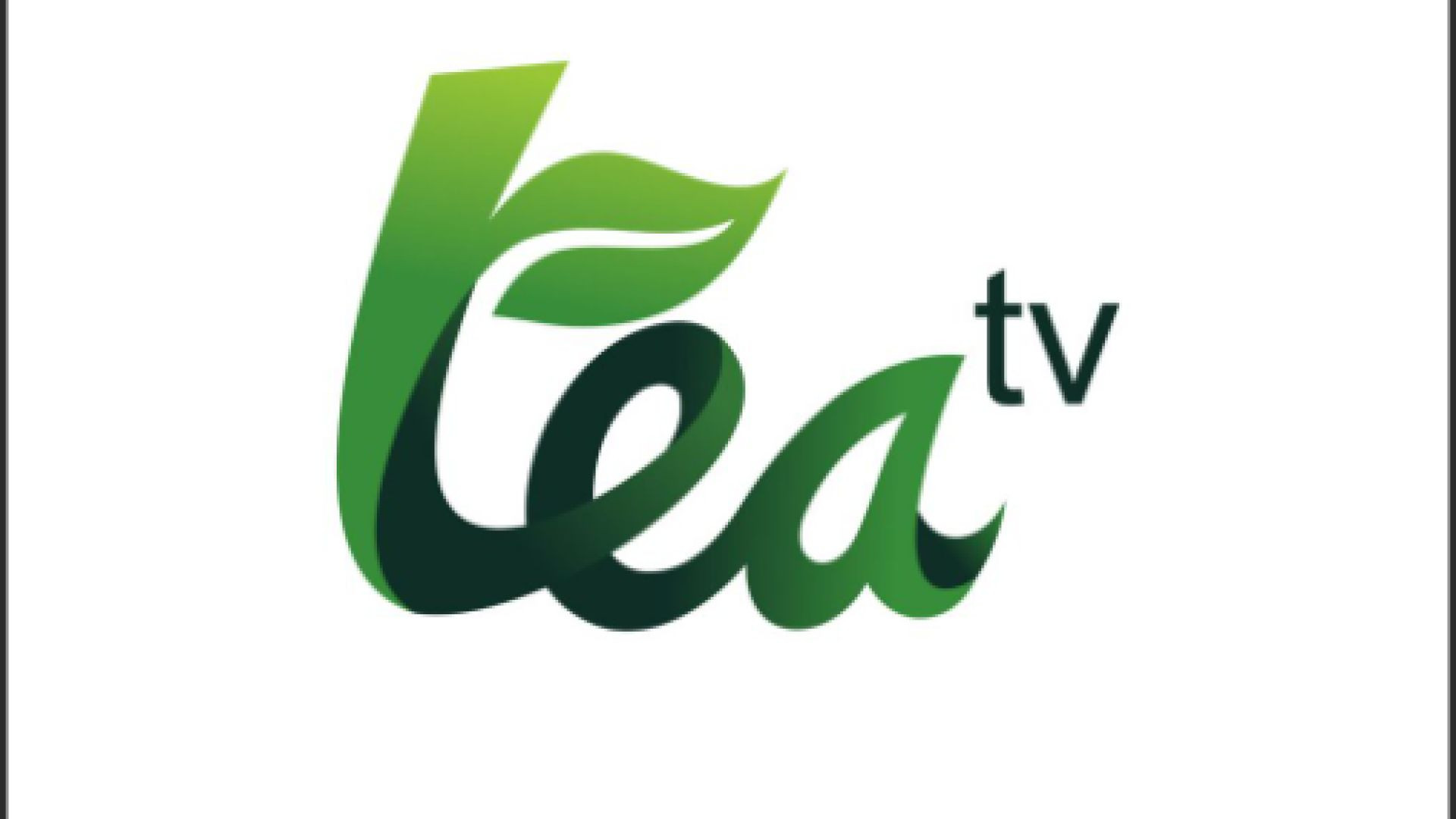 ⁣Tea Tv  Vietnam opc 2